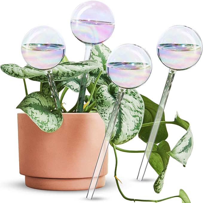 Globos de autorriego transparentes para plantas 6 UND